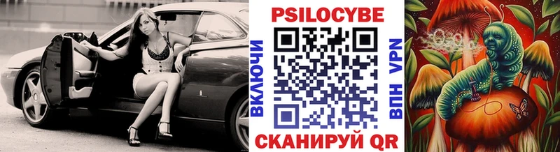 hydra ТОР  Зеленокумск  Псилоцибиновые грибы Cubensis  наркота 